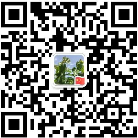 無(wú)紙化會(huì)議軟件_多媒體智能會(huì)議系統(tǒng)方案