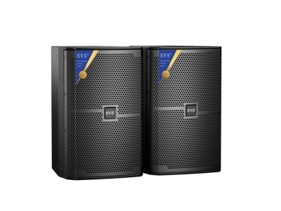 專業(yè)音箱E-8P